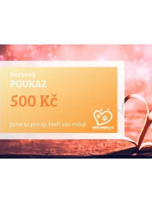 Dárkový poukaz v hodnotě 500 Kč Laatste Versie