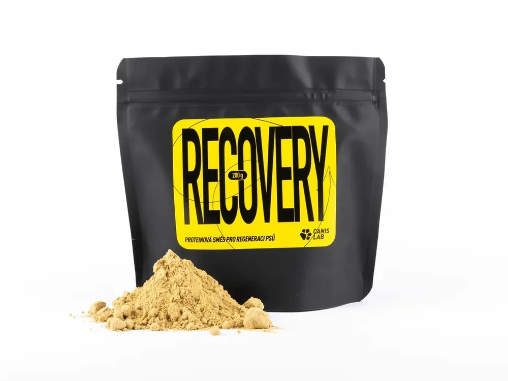 Recovery - proteinová směs pro regeneraci Meest Verkocht