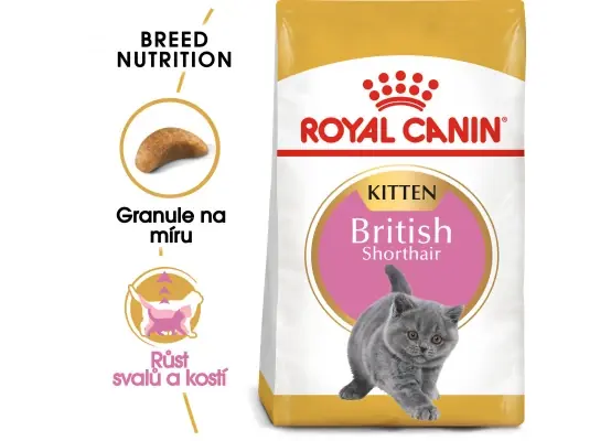 Royal Canin British Shorthair Kitten granule pro britská krátkosrstá koťata 10 Kg Hoge Kwaliteit