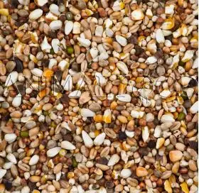 Korting Deli Nature 32 - DoviX Turtle Doves 4kg