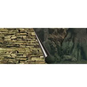 Dagaanbieding Fotopozadí Tree & Rock 80x40cm