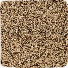 Fabrieksprijs Deli Nature 55 - Canary Supreme 4kg