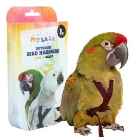 Koop Online Kšíry pro papoušky PETLALA - velkost L, černé