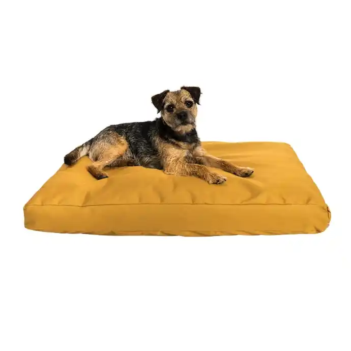 Betaalbaar Samohýl Exclusive Buffy matrace nylon okrová 90 × 60 × 10 cm