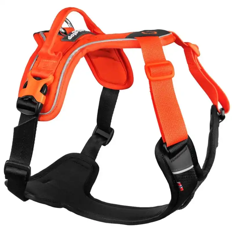 Fabrieksprijs Non-stop dogwear Ramble postroj XS oranžový