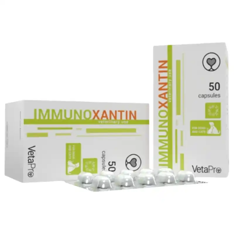 VetaPro ImmunoXantin 50 kapslí Bestseller