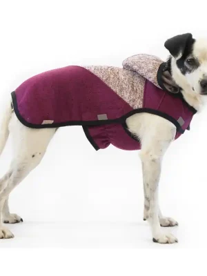 Veilige Betaling Obleček svetr Frankie vínový 40cm