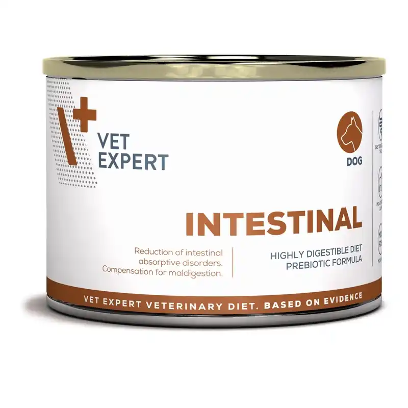 VetExpert VD 4T Intestinal Dog konzerva 200 g Rechtstreeks Van De Fabrikant